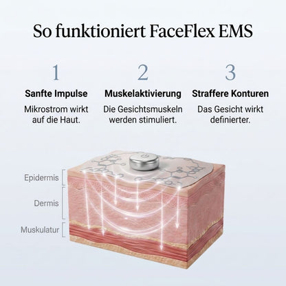 EMS Lifting System